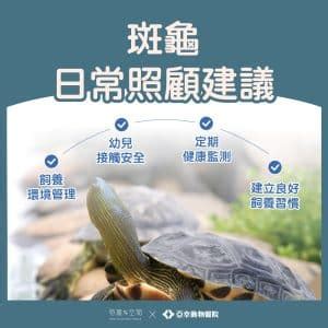 Image result for Graphql API Query Cards From Column Examples