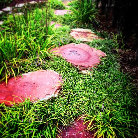 Landscape Design | Grand Rapids, Caledonia, MI | Harder & Warner