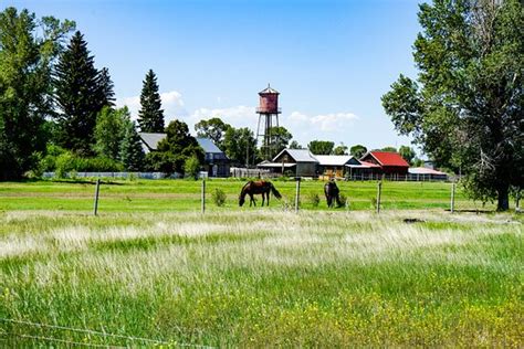 HIGH TOWER RANCH (Twin Bridges) - Specialty Inn Reviews & Photos ...