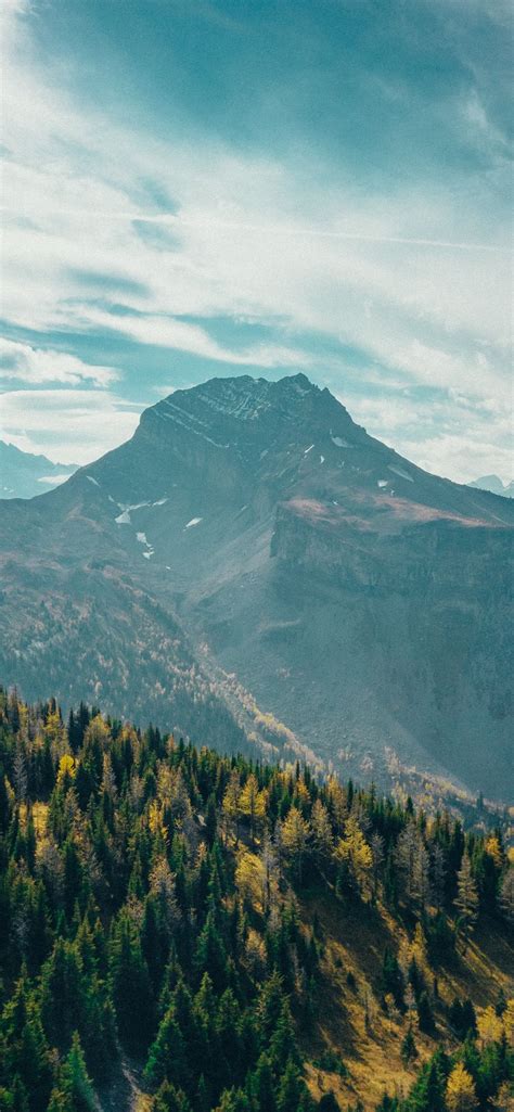 Image result for Home Screen Background