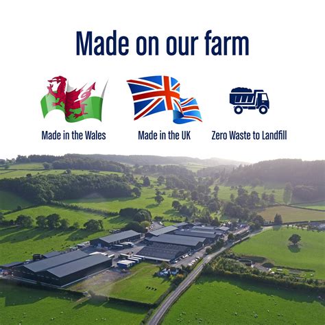 Radnor Fizz Tropical No Added Sugar Juice Drink 24x330ml: Buy Online in ...