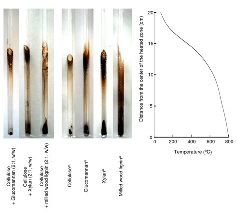 tar Extraction 的图像结果