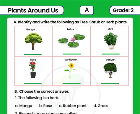 Image result for Class 2 Science Plant