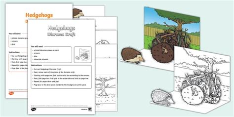 Hedgehogs Diorama Craft
