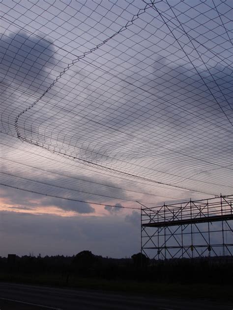 Image result for Safety Net Insurance