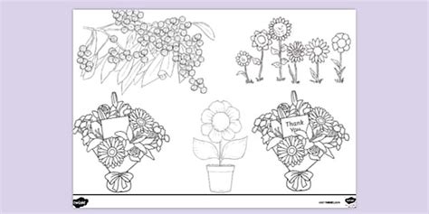 Floral Colouring Page | Printable Colouring Sheets