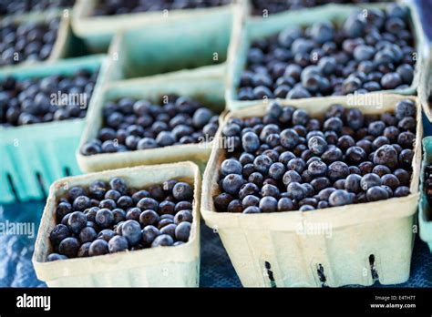Local Farmers 的图像结果