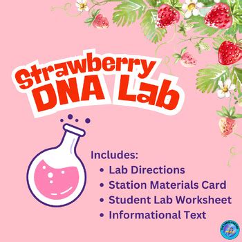 Extracting Strawberry DNA Lab 的图像结果
