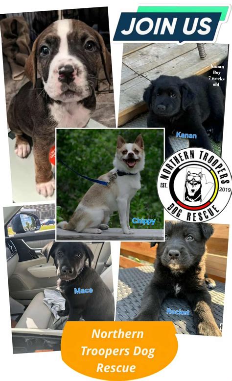 Supporting Northern Troopers Dog Rescue , 3193 Portage Avenue, Winnipeg ...