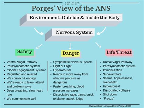 Image result for Autonomic Ladder
