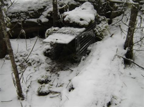 Compass Trapping Set 的图像结果