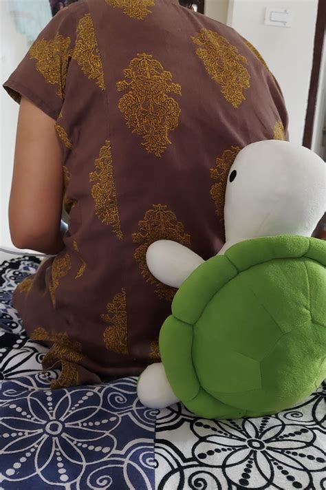 Buy Webby Plush Adorable Cute Tortoise Stuffed Animal Turtle Soft Toys ...