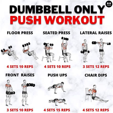 Fitrution on Instagram: “ Push workout dumbbell only to build chest ...
