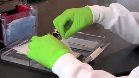 BIO TECH KIT - Northern Blotting Teaching Kit Manufacturer from Chennai