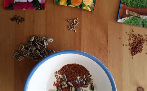 Image result for Class 2 Science Plant