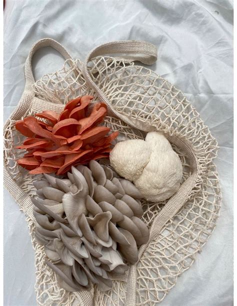 Panhandle Gourmet Mushrooms - Home