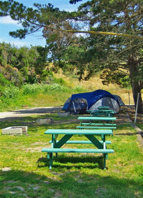 Avila Beach Camping Tent - forest camping wallpaper