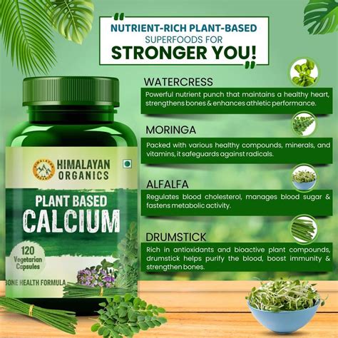 UrbanTokri TheHimalayanOrganics Plant Based Calcium Supplement 120 Veg ...