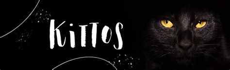 Kittos Cat Treats, Salmon Rings, Rich Protein Low Fat, Premium Reward ...