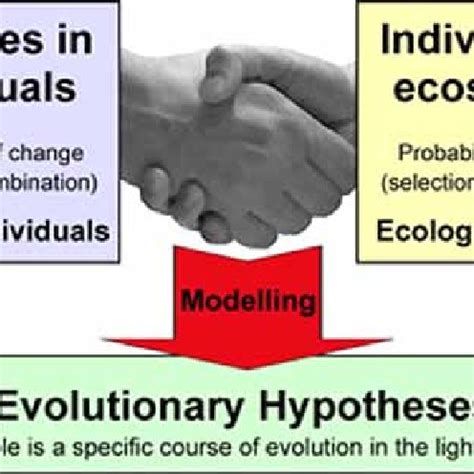 Image result for Evolutionary Biology Explained