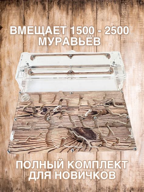 Муравьиная ферма XXL "Теплое дерево" с муравьями - Купить в Москве с ...