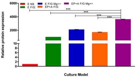 Pharmaceutics | Special Issue : Non-invasive Device-Mediated Brain Drug ...