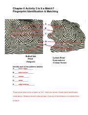 Image result for Fingerprint Matching Worksheet