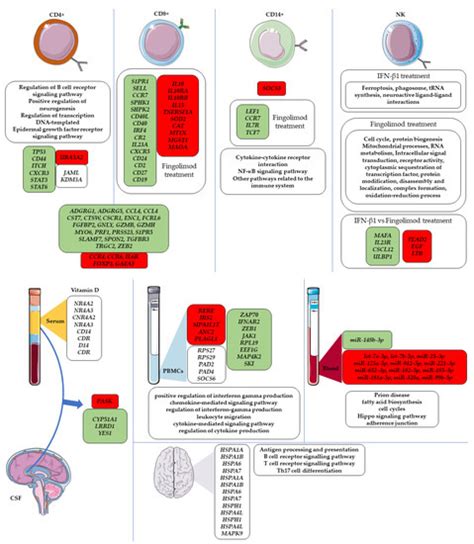 A Comprehensive Exploration of the Transcriptomic Landscape in Multiple ...