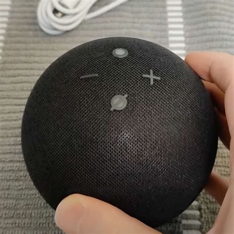 Alexa Echo Tutorial 的图像结果