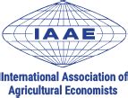 ICAE 2024 - About IAAE