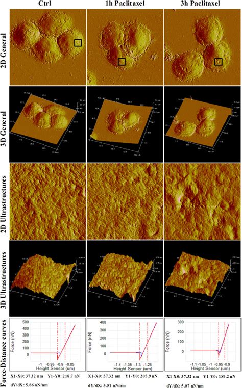 Image result for AFM Structure