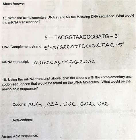 Image result for Write the Complementary DNA Strand