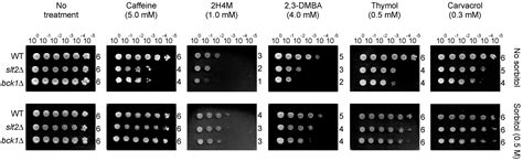 Augmenting the Activity of Monoterpenoid Phenols against Fungal ...