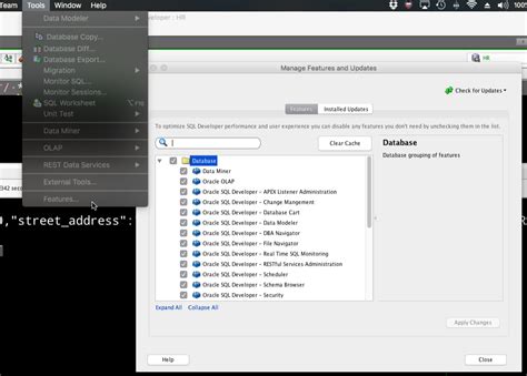 Image result for SQL Developer Setting