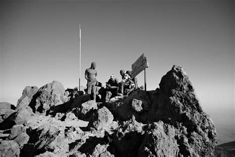 WILD EMPIRE DISCOVERY Guide (2026) All You Need to Know BEFORE You Go ...