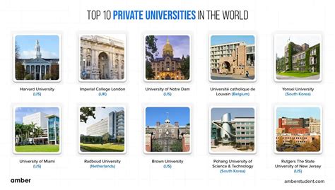 Public vs. Private Universities: Which One's Better? | Amber