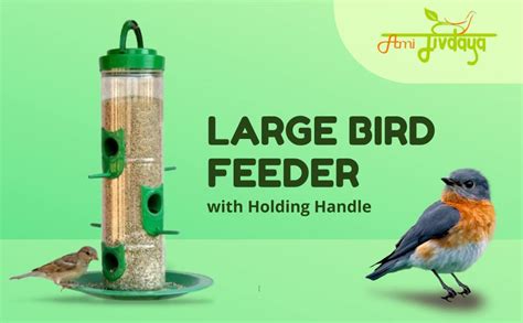 Amijivdaya Large Bird Feeder with Holding Handle (Green) : Amazon.in ...