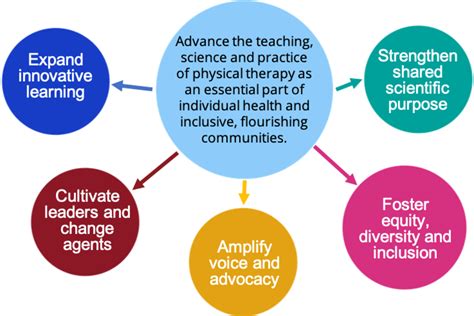 Image result for Physical Therapy Vision Statement