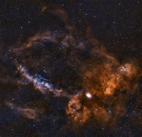 Start Session Models 的图像结果