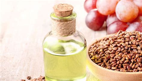 10 Best Oil According to Your Hair Type - lifeberrys.com