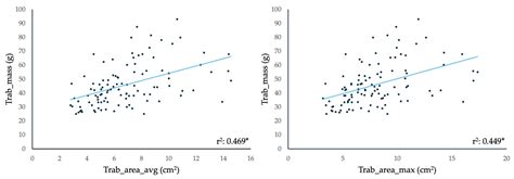 Novel, Contrast Echocardiography-Based Trabeculation Quantification ...