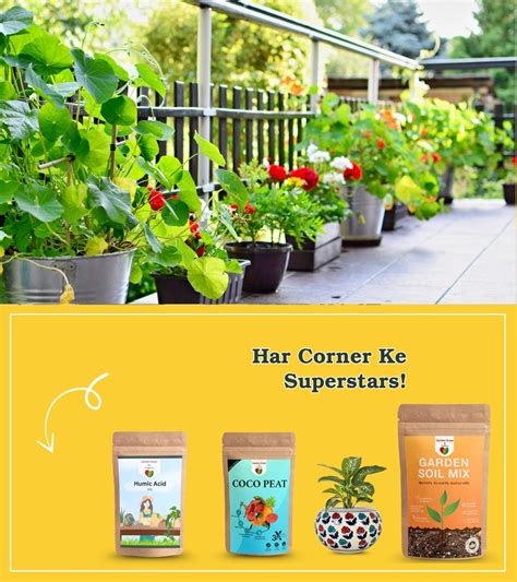 Buy Organic Soil Mix For Plants | Gardengram
