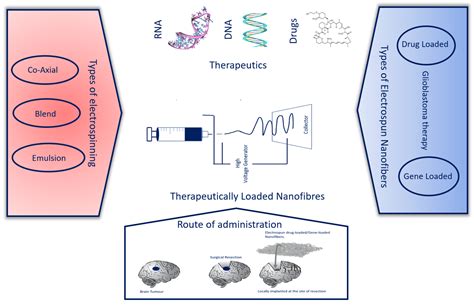 Electrospun Drug-Loaded and Gene-Loaded Nanofibres: The Holy Grail of ...