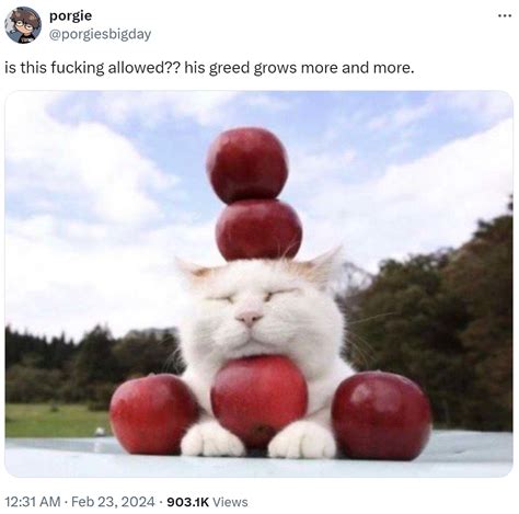 is this f------ allowed?? his greed grows more and more. | Cat With ...
