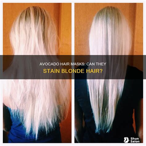 Avocado Hair Masks: Can They Stain Blonde Hair? | ShunSalon