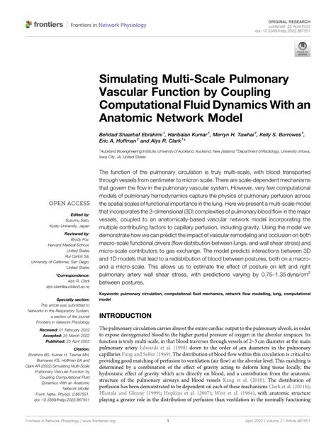 Image result for Multi Dynamic Vena Modeling