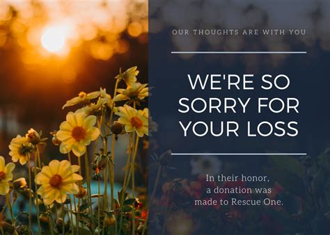 We’re Sorry For Your Loss – Rescue One