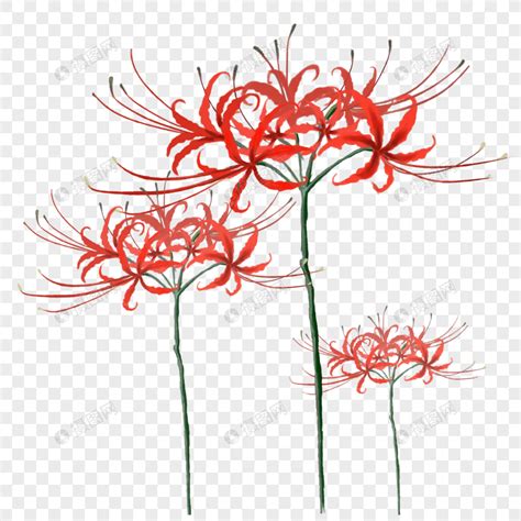 Image result for Spring Containers Images