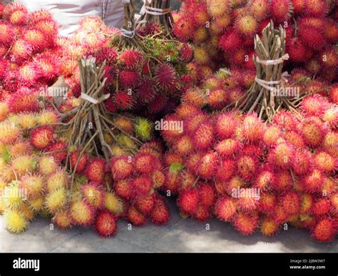 Cluster of yellowish rambutan hi-res stock photography and images - Alamy