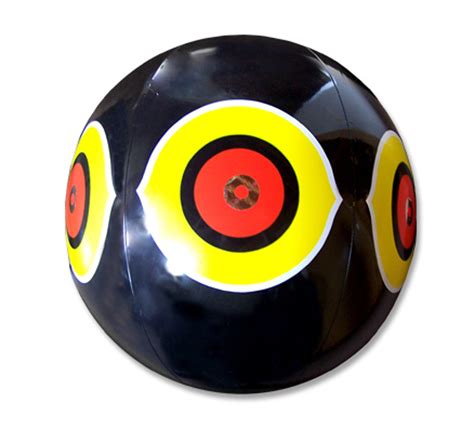 Bird-X Scare-Eye Bird Repellent Predator Eyes Balloon, Black : Amazon ...
